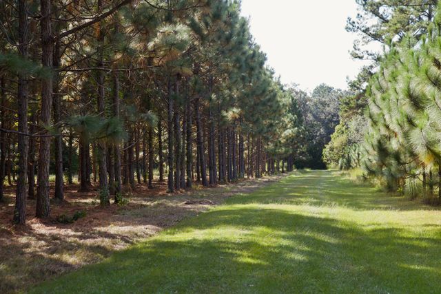 1451 River Road, Yemassee, SC 29945