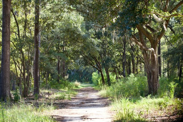 1451 River Road, Yemassee, SC 29945