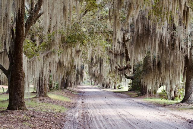 1451 River Road, Yemassee, SC 29945