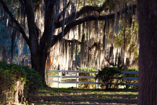 1451 River Road, Yemassee, SC 29945