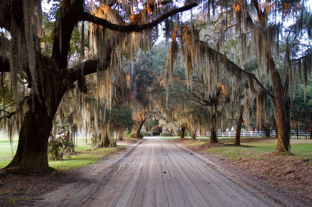 1451 River Road, Yemassee, SC 29945