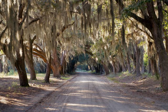 1451 River Road, Yemassee, SC 29945