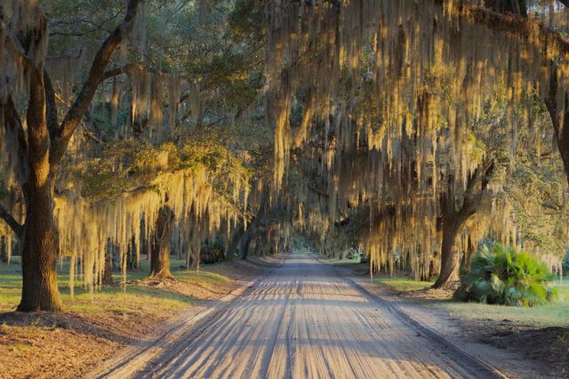 1451 River Road, Yemassee, SC 29945