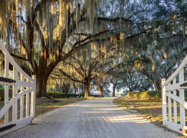 1451 River Road, Yemassee, SC 29945