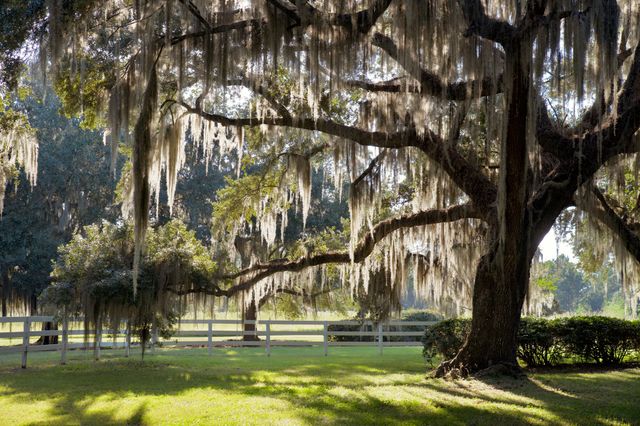 1451 River Road, Yemassee, SC 29945