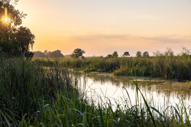 1451 River Road, Yemassee, SC 29945