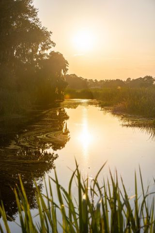 1451 River Road, Yemassee, SC 29945