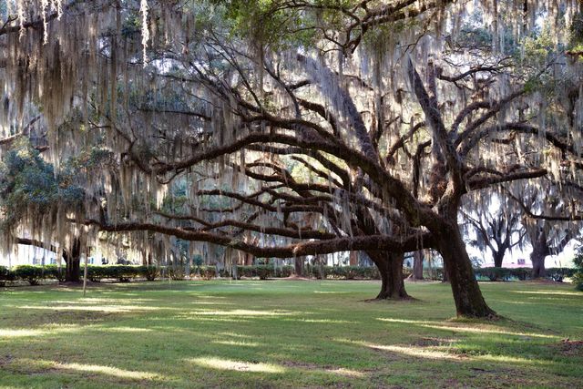 1451 River Road, Yemassee, SC 29945