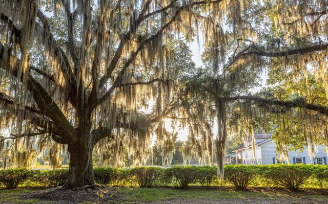 1451 River Road, Yemassee, SC 29945