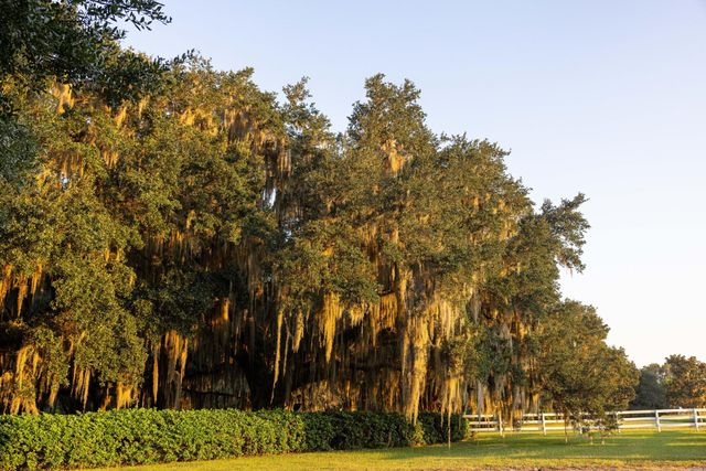 1451 River Road, Yemassee, SC 29945