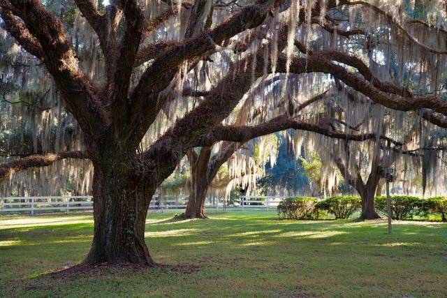 1451 River Road, Yemassee, SC 29945