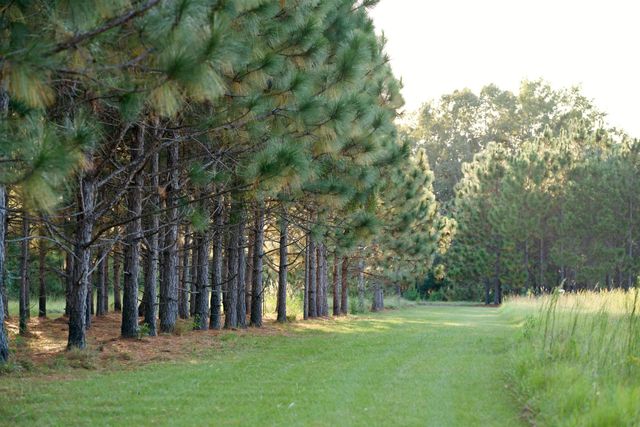 1451 River Road, Yemassee, SC 29945