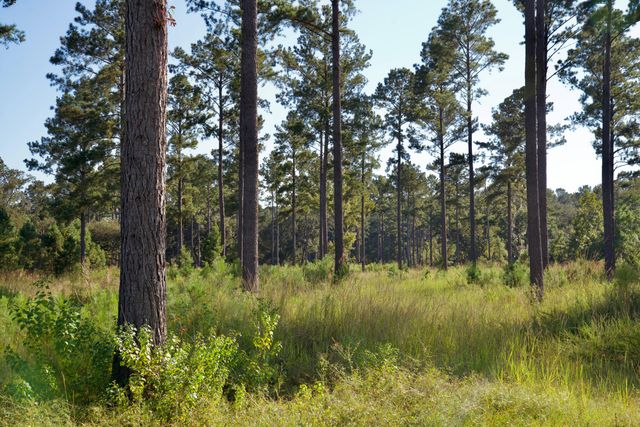 1451 River Road, Yemassee, SC 29945