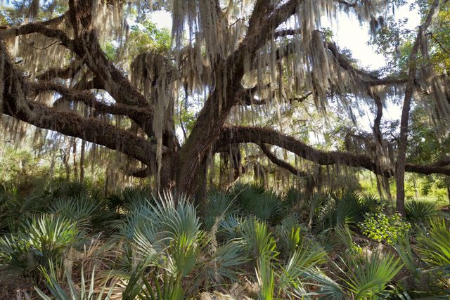 1451 River Road, Yemassee, SC 29945