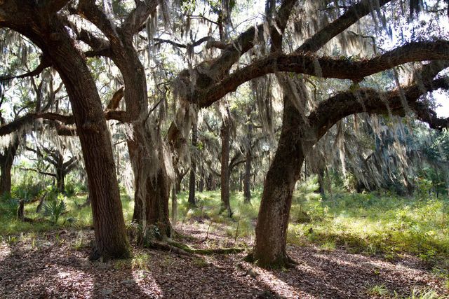 1451 River Road, Yemassee, SC 29945