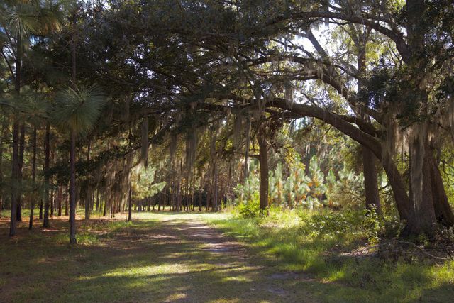 1451 River Road, Yemassee, SC 29945