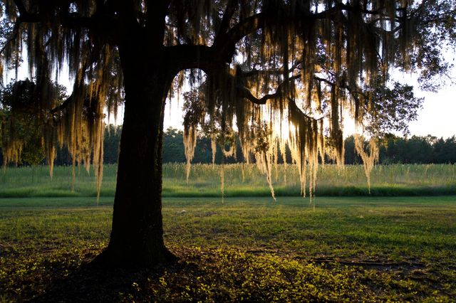 1451 River Road, Yemassee, SC 29945