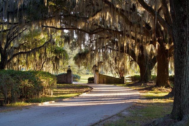 1451 River Road, Yemassee, SC 29945