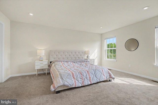 220 ABBIGAIL XING, Townsend, DE 19734