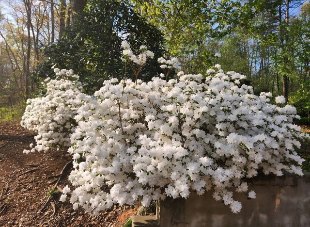 105 Liberty Road, Murphy, NC 28906