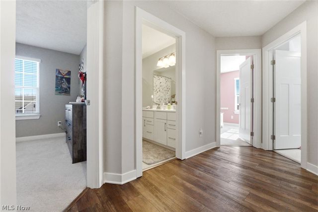 12843 Caribou Court, Columbia Station, OH 44028