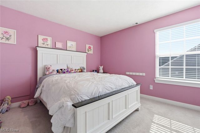 12843 Caribou Court, Columbia Station, OH 44028