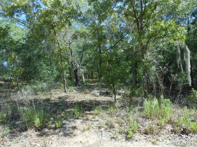 5225 E Prentice Lane, Inverness, FL 34452