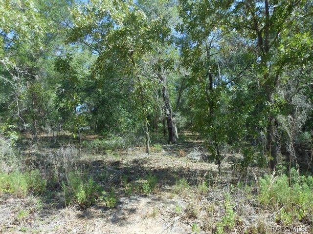 5225 E Prentice Lane, Inverness, FL 34452
