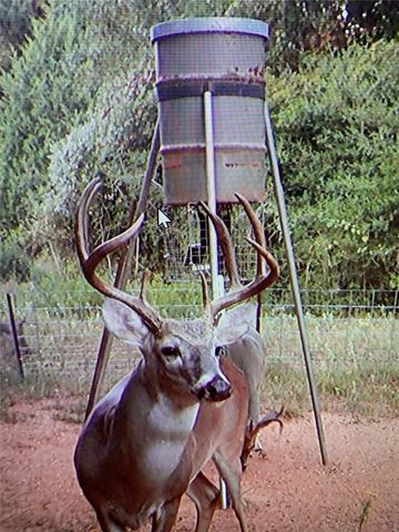 285 Private Road 3420, Jewett, TX 75846