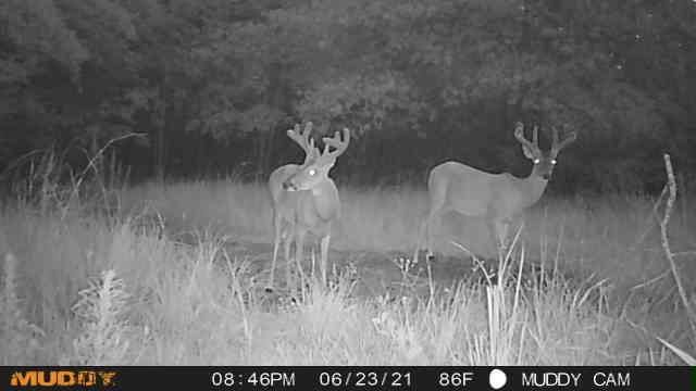 285 Private Road 3420, Jewett, TX 75846
