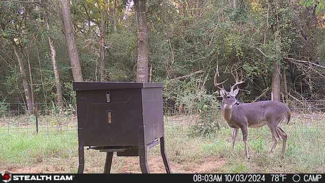285 Private Road 3420, Jewett, TX 75846