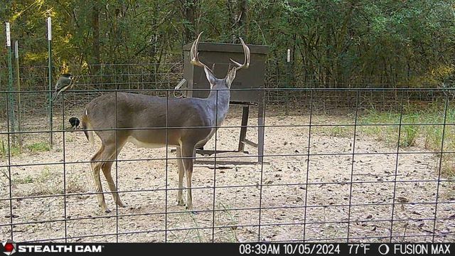 285 Private Road 3420, Jewett, TX 75846