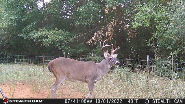 285 Private Road 3420, Jewett, TX 75846