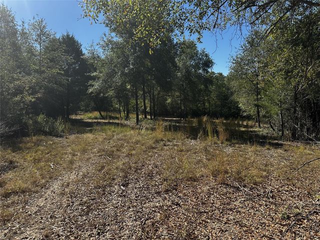 285 Private Road 3420, Jewett, TX 75846