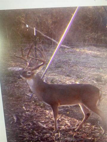 285 Private Road 3420, Jewett, TX 75846