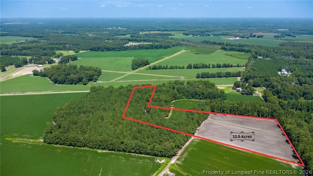 TBD Balfour Road, Lumber Bridge, NC 28357 — exterior