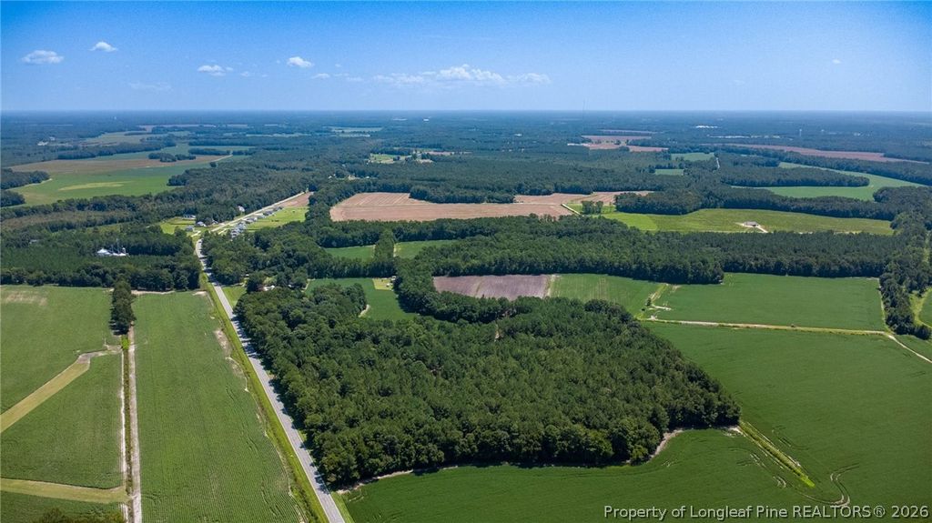 TBD Balfour Road, Lumber Bridge, NC 28357 — photo 4