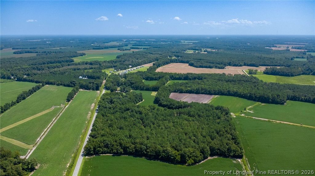 TBD Balfour Road, Lumber Bridge, NC 28357 — photo 5