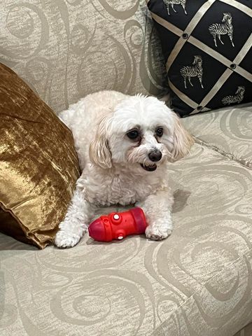 6108 Petunia Road, Delray Beach, FL 33484