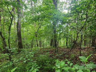 TBD Henry Worley Lane, Marshall, NC 28753