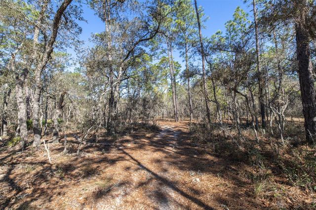 4771 W HERMAN COURT, Homosassa, FL 34446