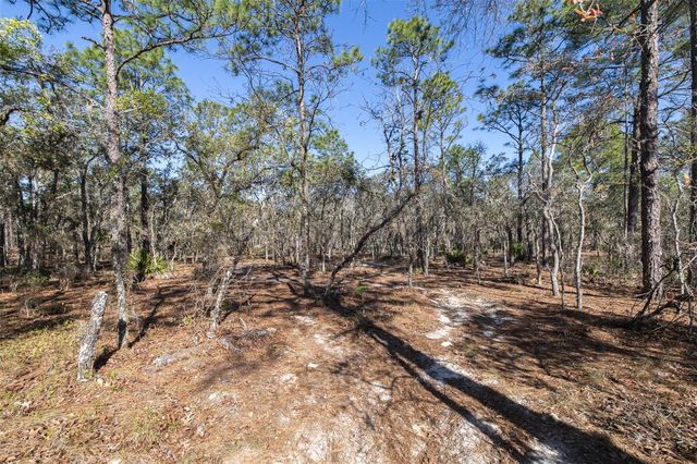 4771 W HERMAN COURT, Homosassa, FL 34446