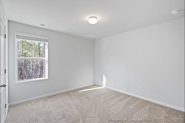 201 Hallwood Drive, Pikeville, NC 27863
