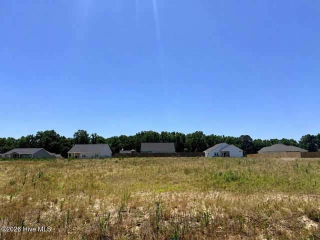 202 Jackson Ridge Way, Pikeville, NC 27863