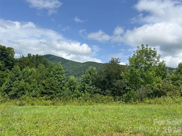 840 Ed Williams Road, Zionville, NC 28698
