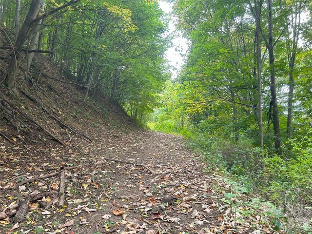 840 Ed Williams Road, Zionville, NC 28698