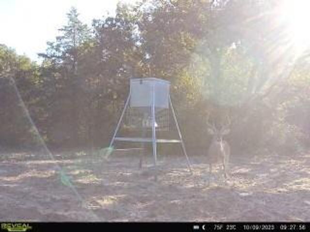 7266 County Road 449, Marquez, TX 77865