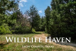 7266 County Road 449, Marquez, TX 77865