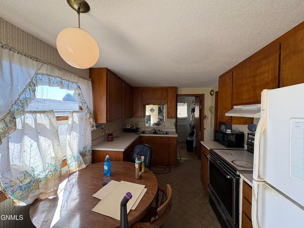 113 3rd Street S, Ellendale, ND 58436 photo 10