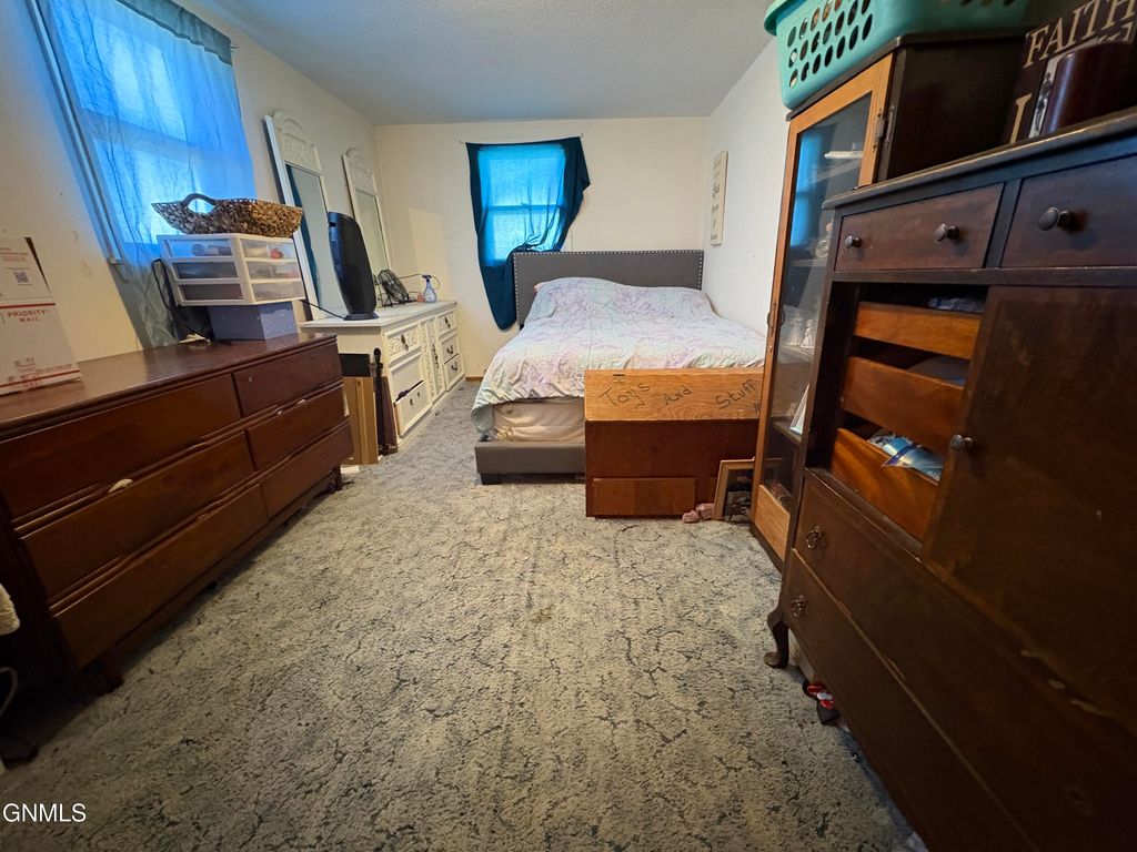 113 3rd Street S, Ellendale, ND 58436 photo 11